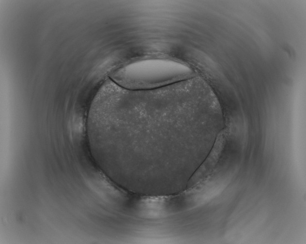 X0000111880084200908131642
