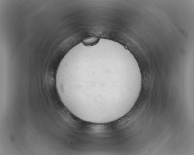 X0000111880085200908131642
