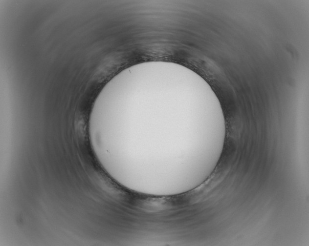 X0000111880086200908131642