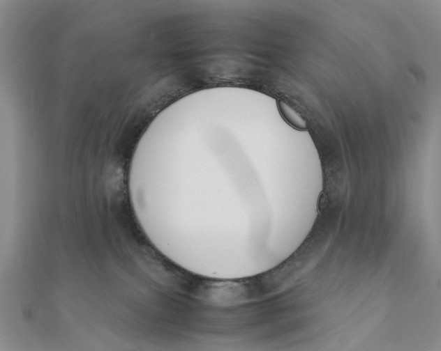 X0000111880087200908131642