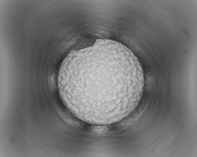 X0000111880088200908131642