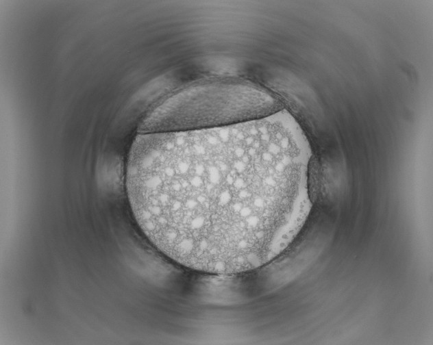 X0000111880092200908131643