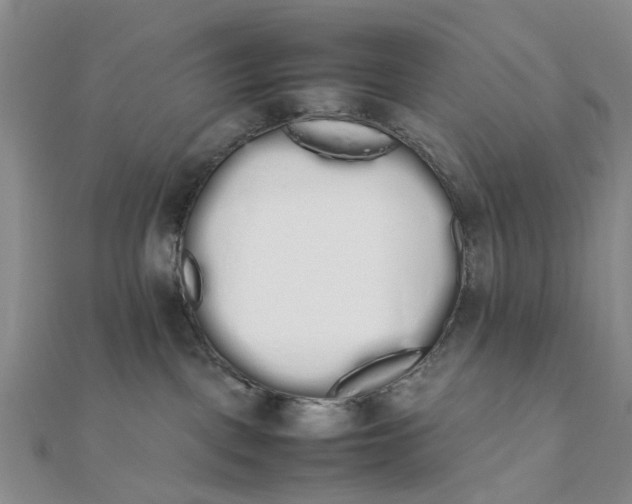 X0000111880093200908131643
