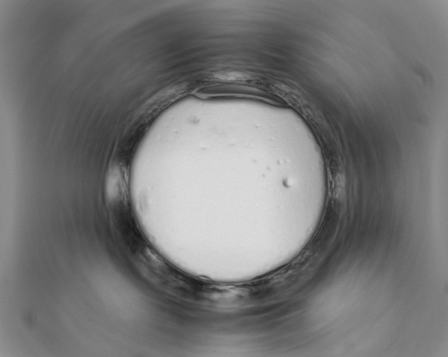 X0000111880095200908131643