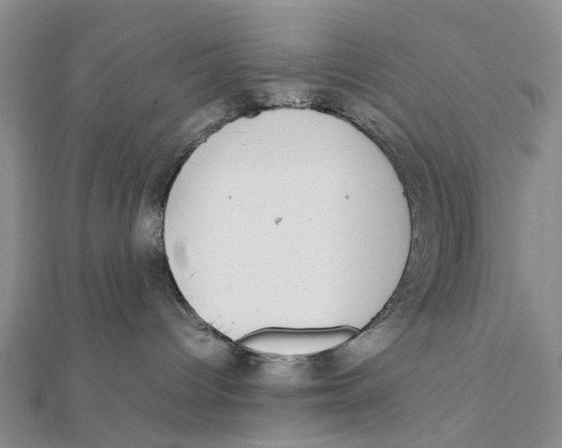X0000111880096200908131643