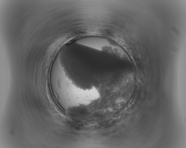 X0000111880097200908131642