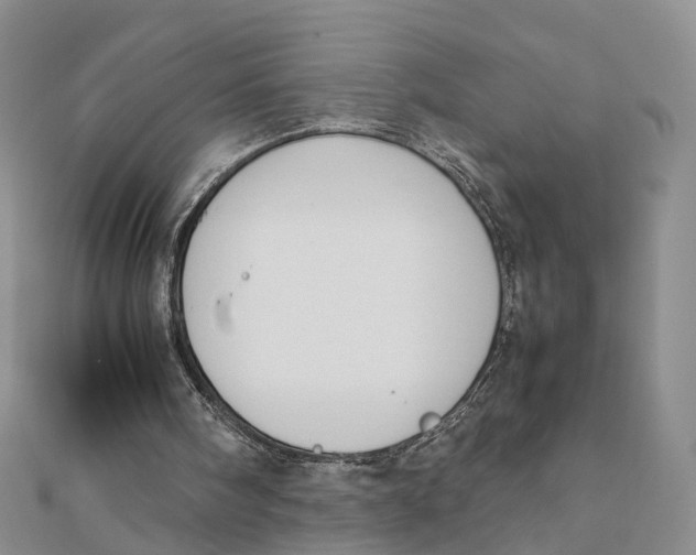 X0000111880098200908131642