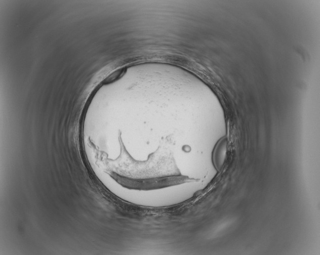 X0000111880099200908131642