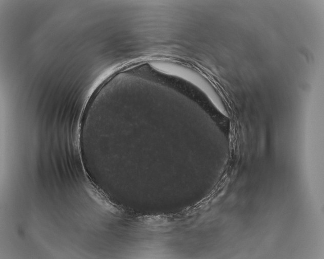 X0000111880100200908131642