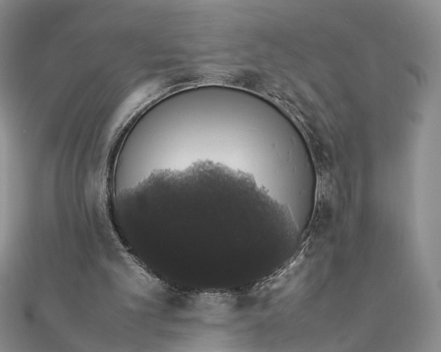 X0000111880101200908131642