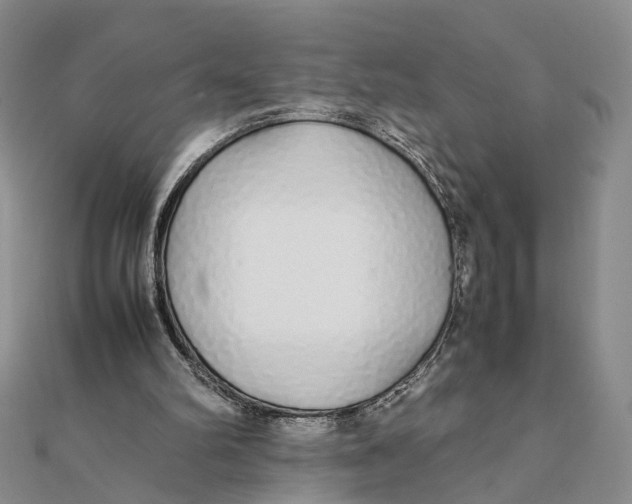 X0000111880102200908131642