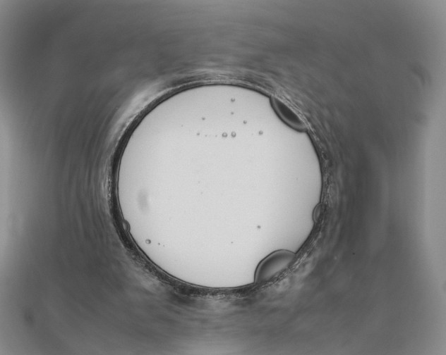 X0000111880103200908131642