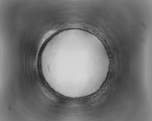 X0000111880104200908131642