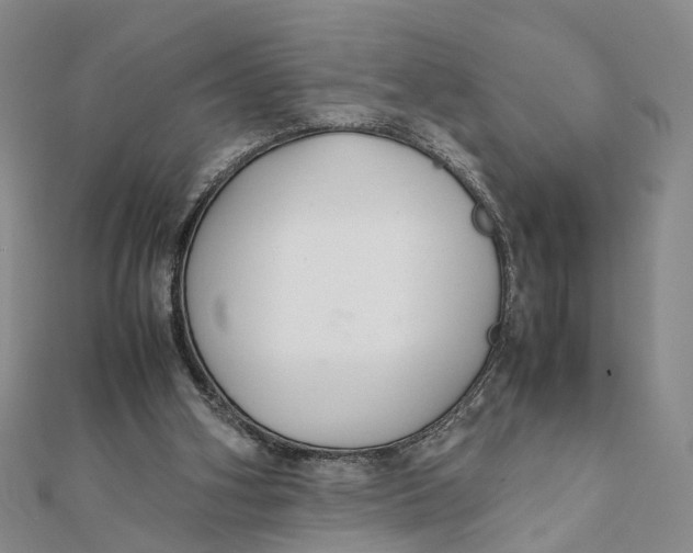 X0000111880106200908131642