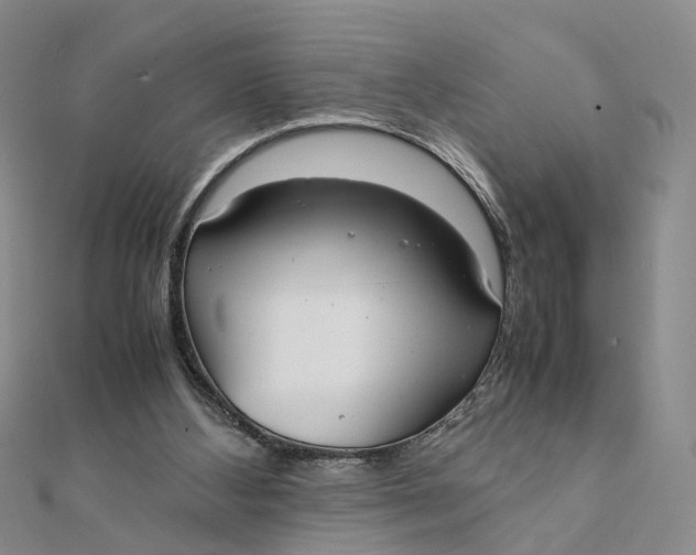 X0000111880108200908131642