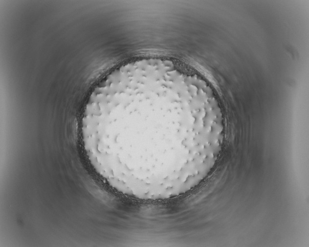 X0000111880109200908131642