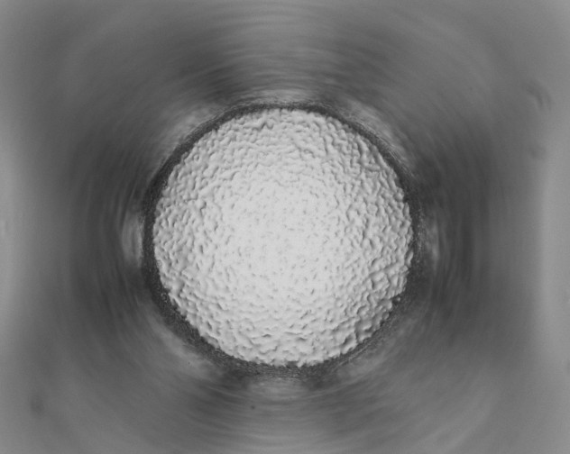 X0000111880110200908131642