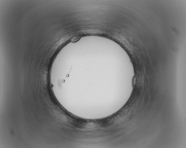 X0000111880111200908131642