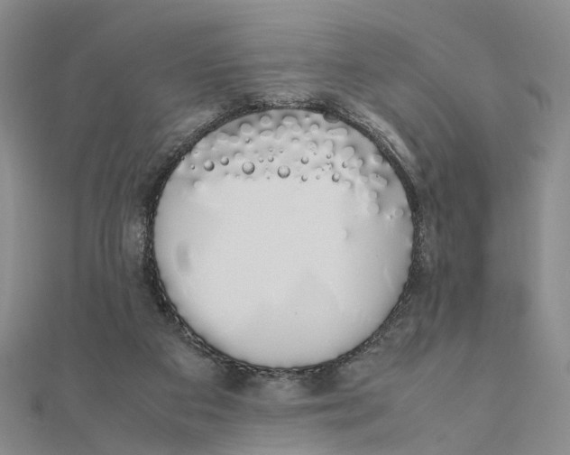 X0000111880113200908131642