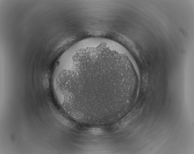 X0000111880114200908131642