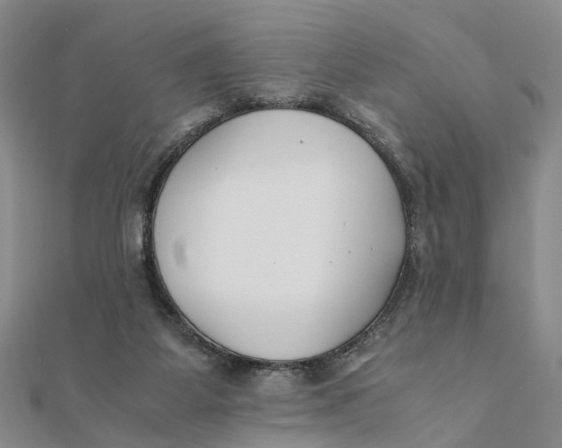 X0000111880115200908131642