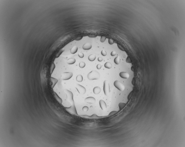 X0000111880116200908131642