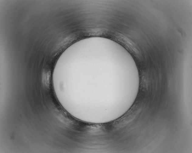 X0000111880118200908131642