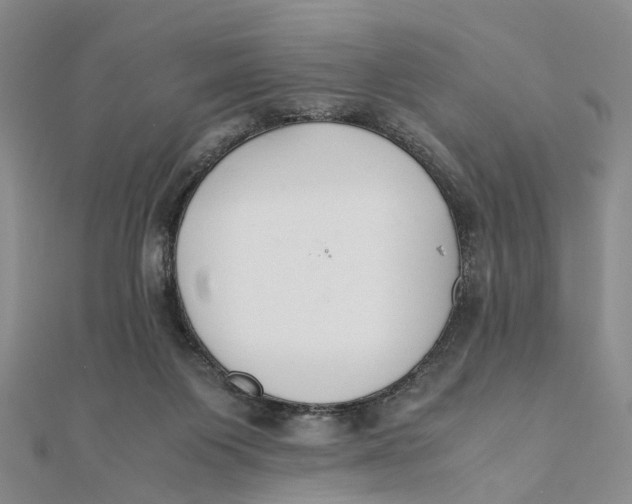 X0000111880119200908131642