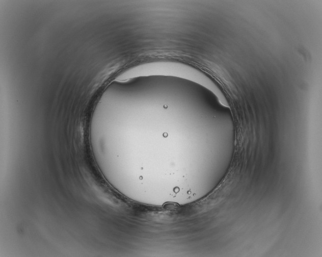 X0000111880120200908131642