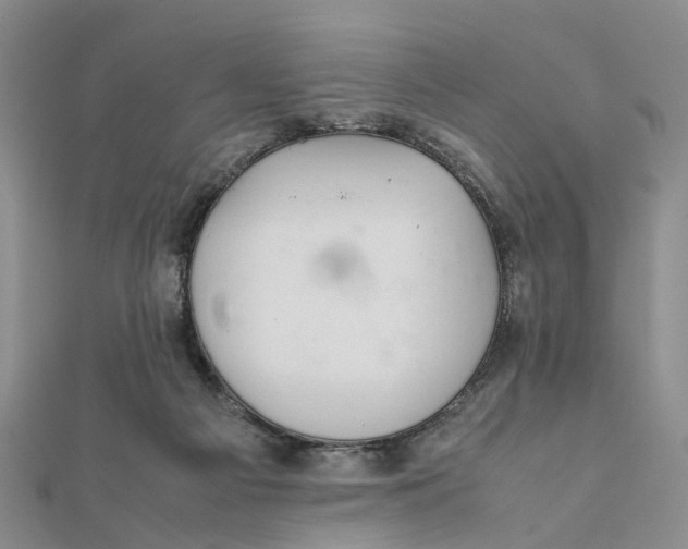 X0000111880121200908131642