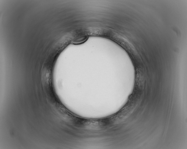 X0000111880123200908131642