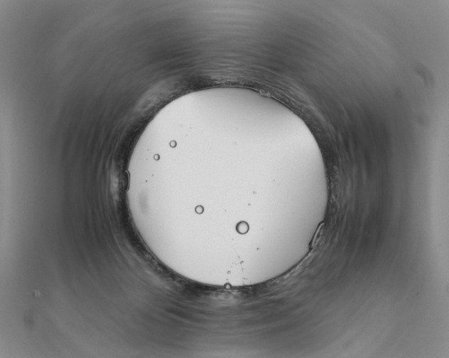 X0000111880124200908131642