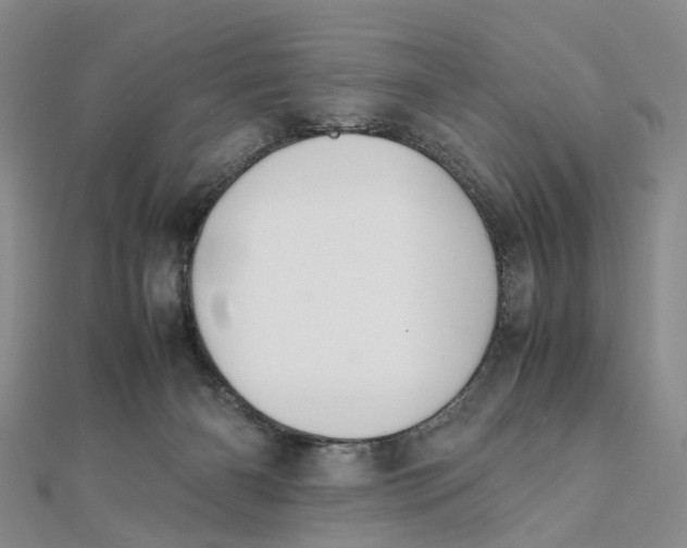 X0000111880126200908131642