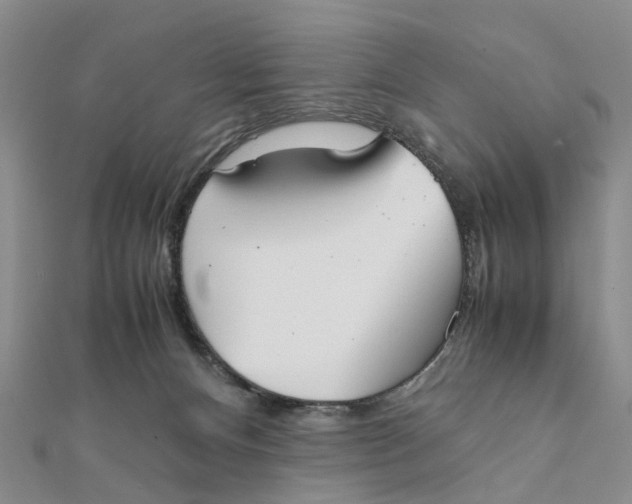 X0000111880128200908131642