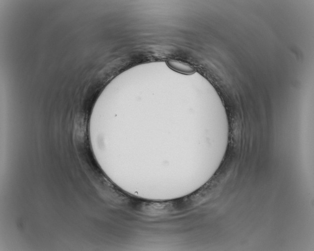 X0000111880129200908131642