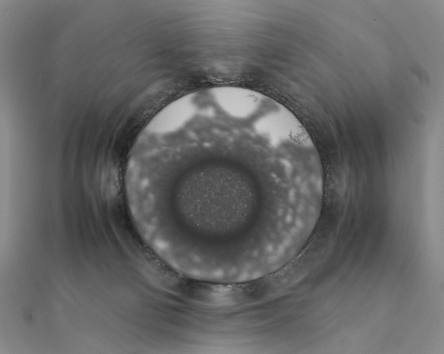 X0000111880130200908131642