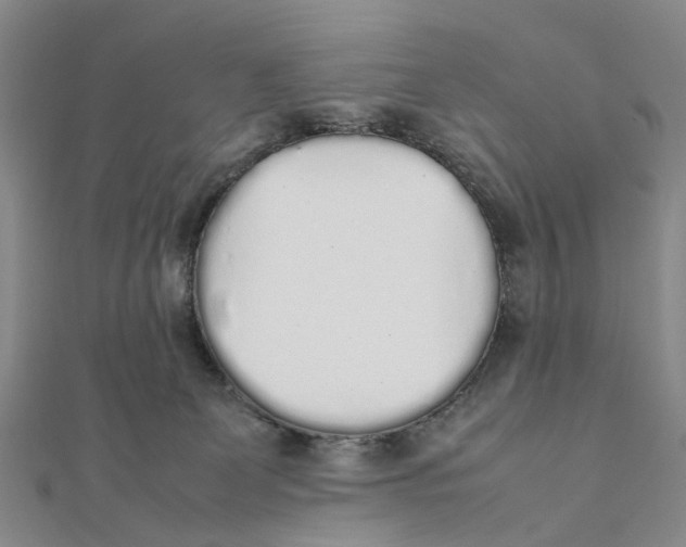 X0000111880131200908131642