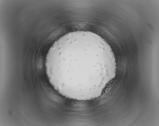 X0000111880132200908131642