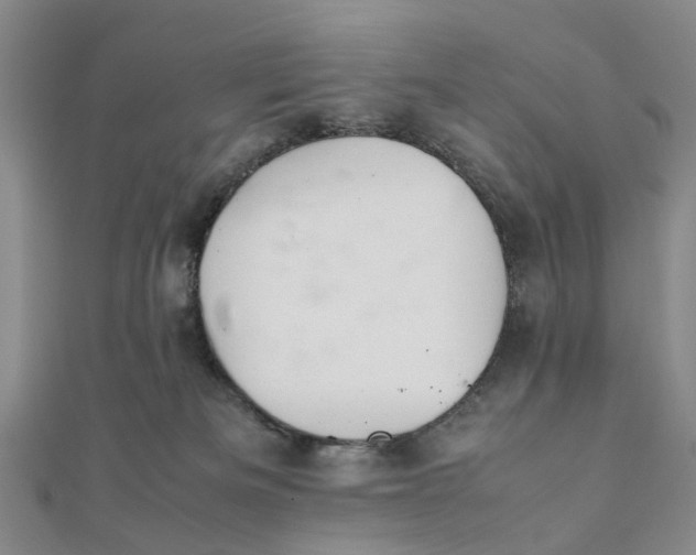 X0000111880133200908131641