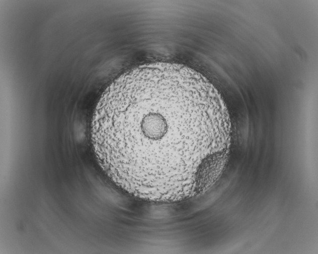 X0000111880134200908131641