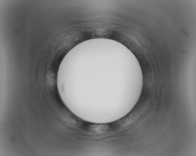 X0000111880135200908131641
