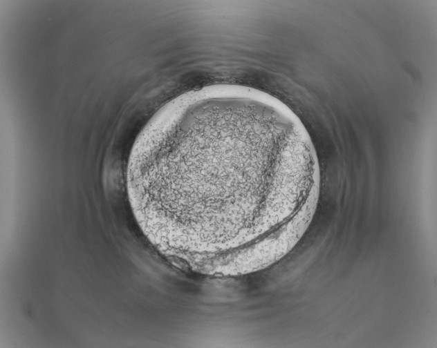 X0000111880137200908131641