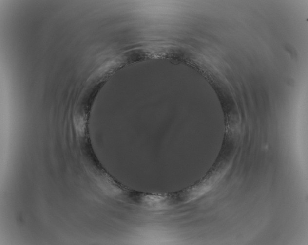 X0000111880139200908131641