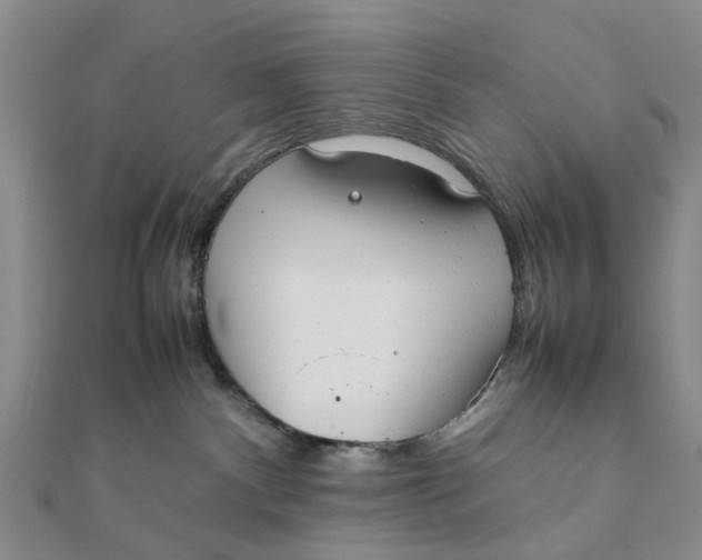 X0000111880140200908131641