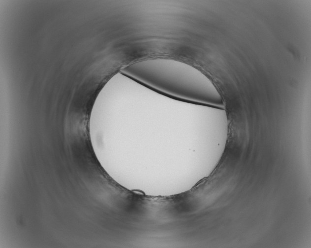 X0000111880141200908131641