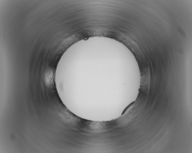 X0000111880142200908131641