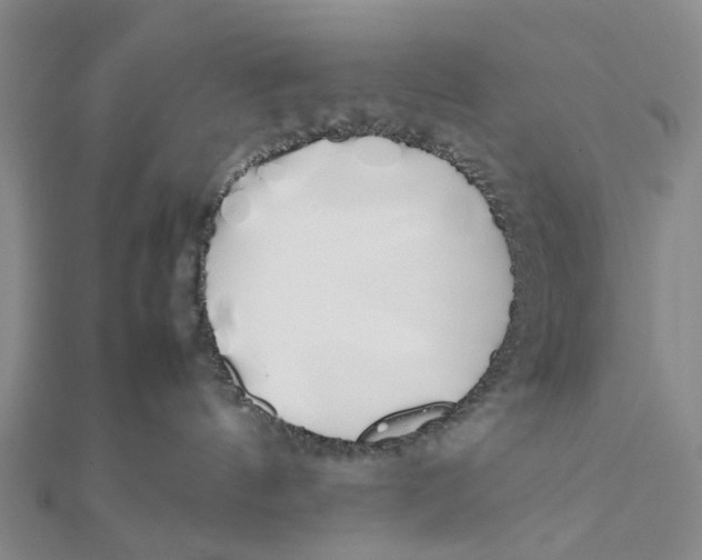 X0000111880144200908131641