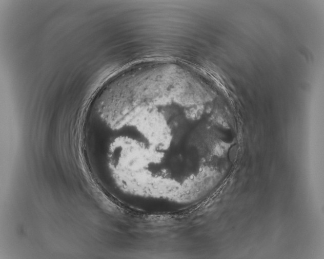 X0000111880145200908131641
