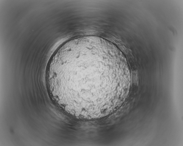 X0000111880147200908131641