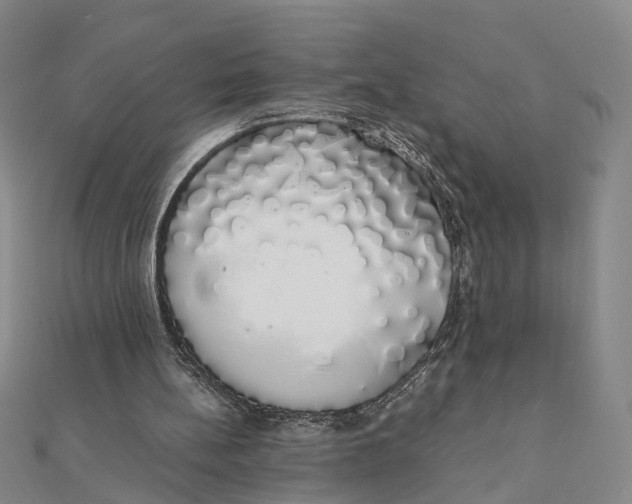 X0000111880148200908131641